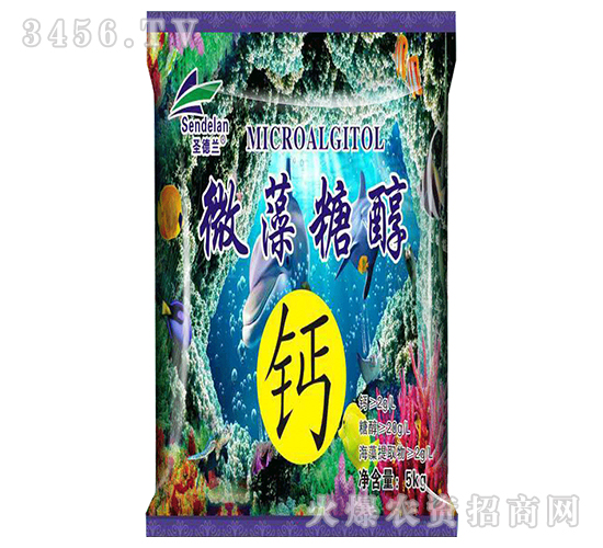 ΢���Ǵ��}-ʥ���m