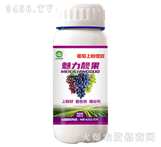 葡萄上粉著色-魅力靚紅-葡萄上粉著色-大農(nóng)生物