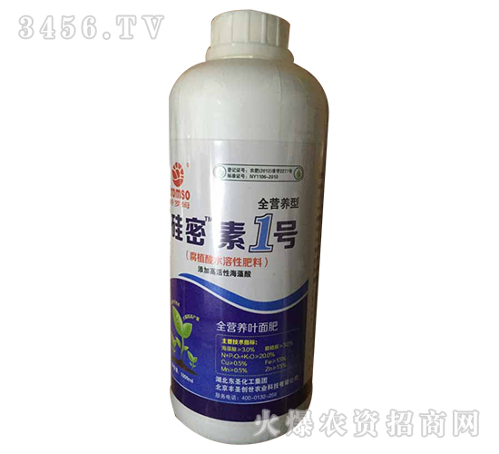 ������1̖-�|ʥ����