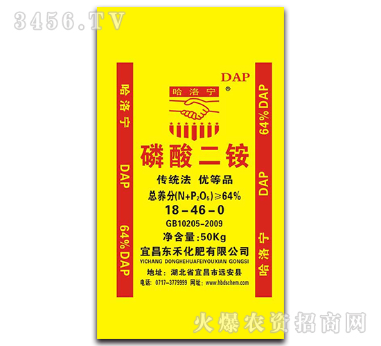 ������@-���匎-�|ʥ����