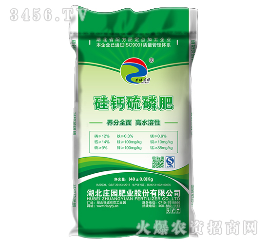 12%�w�����}����-�f�@�ʘI(y��)