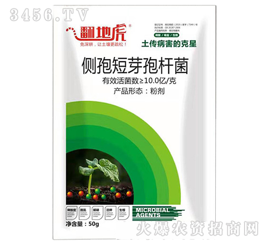 ��(c��)�߶�ѿ�ߗU��-���ػ�-�T�_