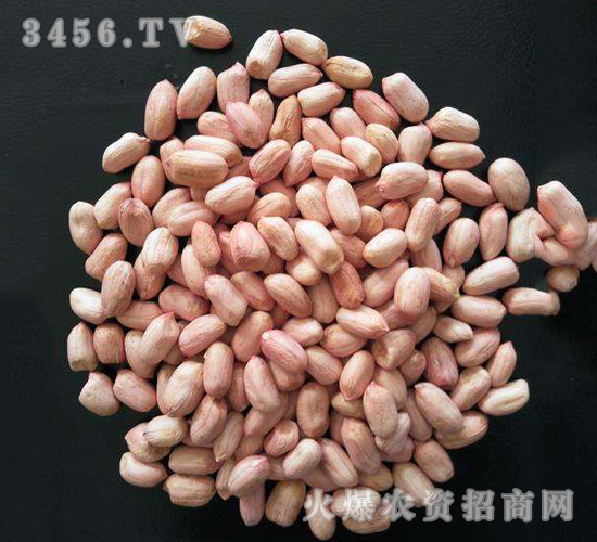 ���������N��-ʢ�r(n��ng)�N�I(y��)