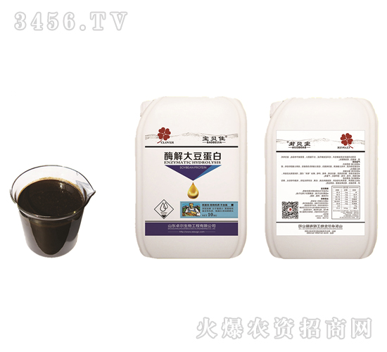 ø��󶹵���-׿������