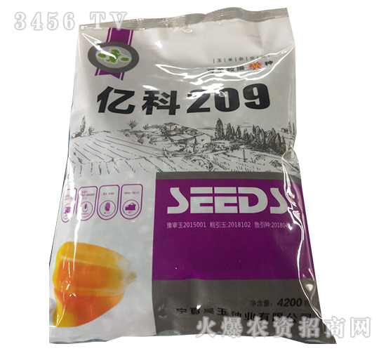 億科209-玉米種子-軒瑞種業(yè)