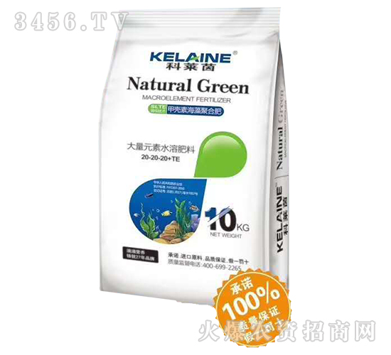 �ך��غ����-���R��-�Y�����