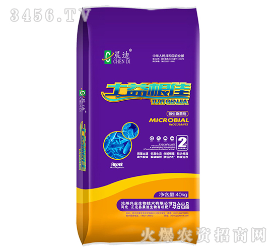 ΢�������-�������-����