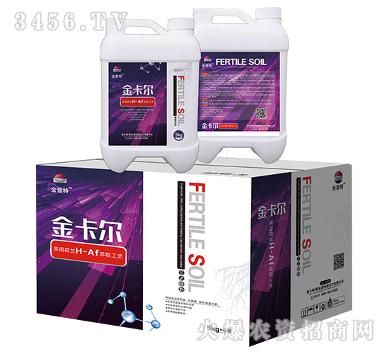 �𿨠�-������-�Ѻ�