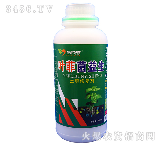 �����ޏ�(f��)��-�~�ƾ�����-�°��~��