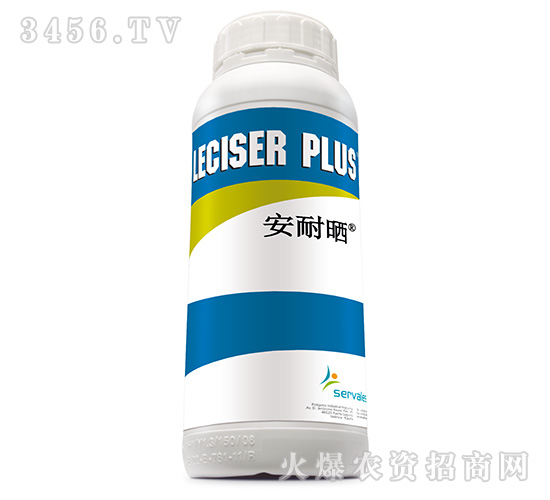 ���͕�-Ҽ������