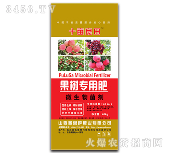 ����(sh��)���÷�-ʮ������-�����_