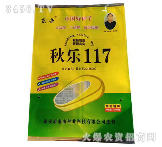 秋樂117-玉米種子-東岳