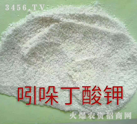 ���ᶡ���-�������