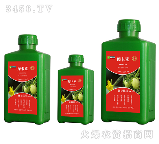 ������������������Һ�ķ�-Ħ����-��о