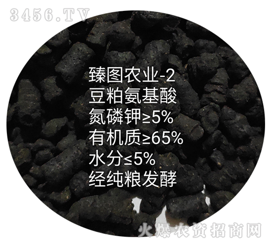 ���ɰ������-ʩ����