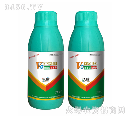 魚蛋白花果多-沃鯨