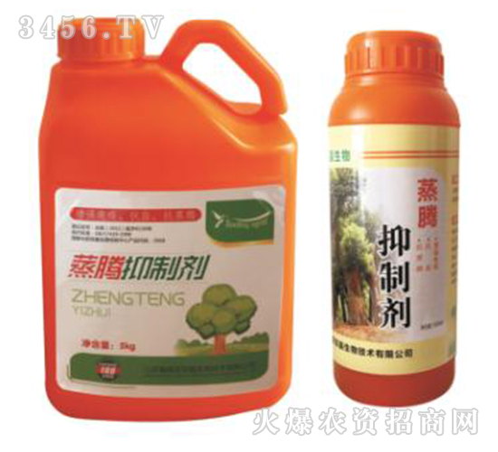 ���v���Ƅ�-�p������