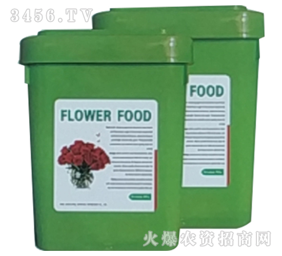 �r�л����r��-�p������