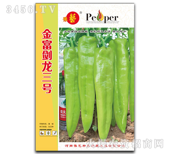 金富劍龍三號(hào)-辣椒種子-豫藝
