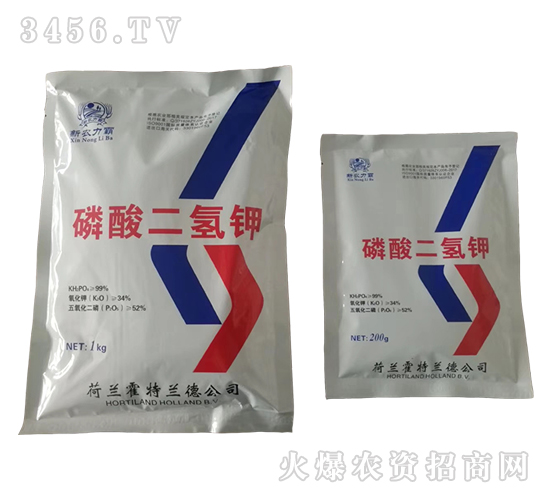 ��������-���r����-���𻯹�