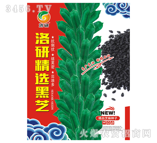 ֥��N��-���о��x��֥-����