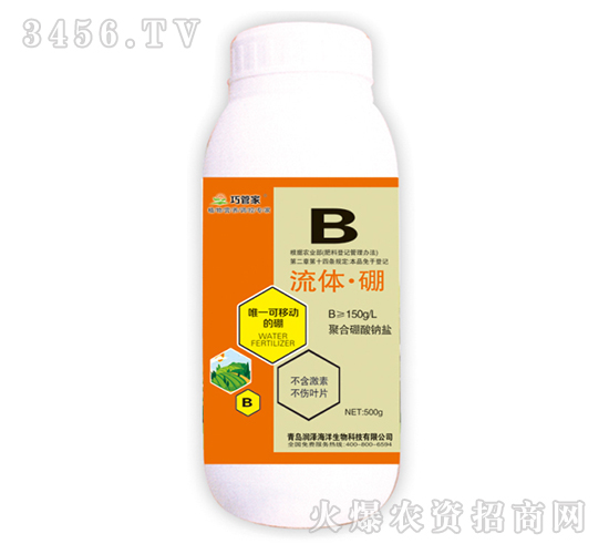 ���w����-�|��