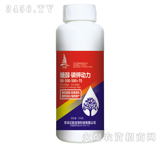 �Ǵ�����⛄���-�|��