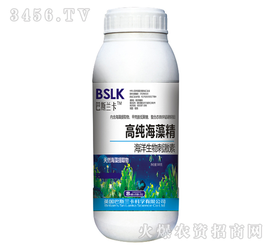 500g�߼����徫-��˹�m��