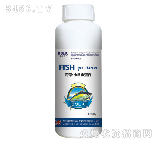 500g���塤С���~����-��˹�m��