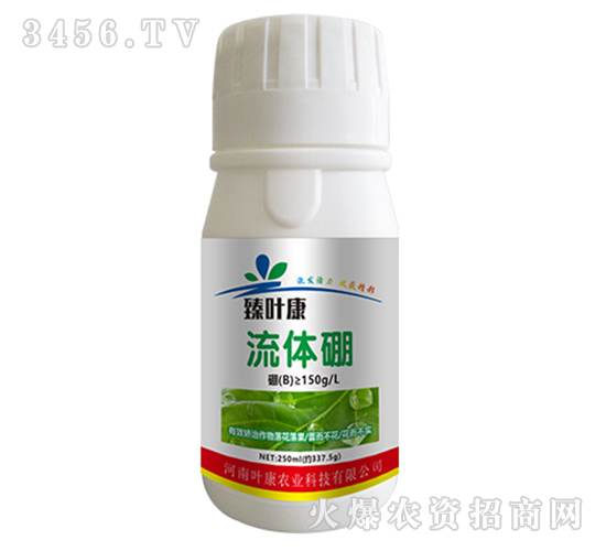 ���w��-���~��