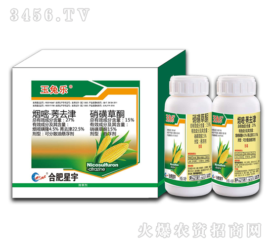 ��������݄�-���Ø�-�Ϸ�����