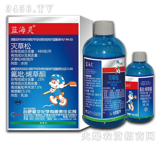 �o�~���݄�-�{���`-�Ϸ�����