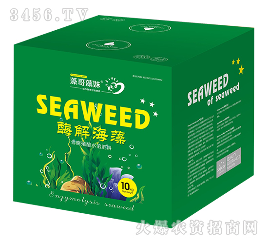 ø�⺣��-�������-�Ơ���˹