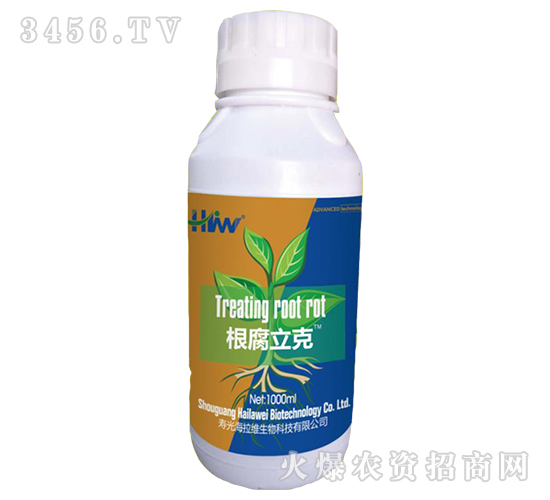 根腐立克-海拉維