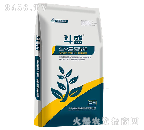 �����S�����-��ʢ-�����S