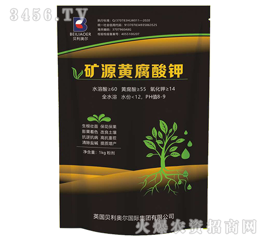 �VԴ�S�����-�����S