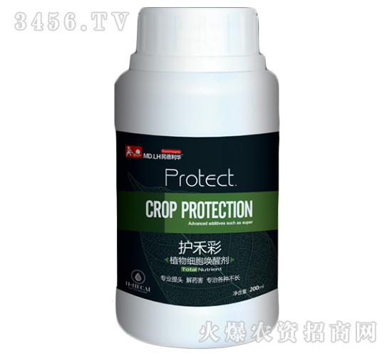 ֲ�：(x��)�����ф�-�o(h��)�̲�-������A