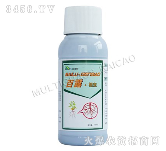 ��¶������-���ְٲ�