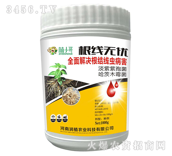 �����o(w��)�n-��(r��n)ֲ