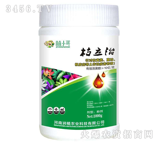 ������-��ֲ