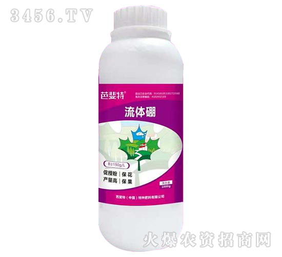 ���w��-�����