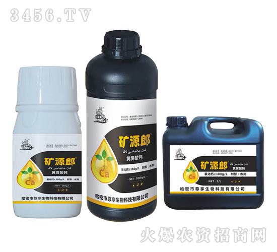 �VԴ�S�����}-�VԴ��-��������