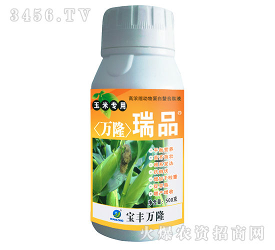 ���׌����~���-�f¡��Ʒ