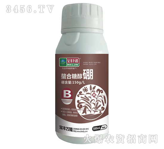 �����Ǵ���-���S�f¡