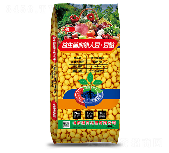 10�|����������󶹶���-��һ-����