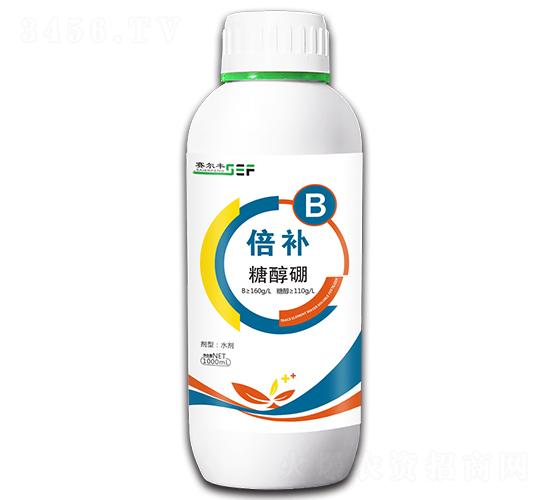 ���a���Ǵ���-ِ���S-ِ�S����