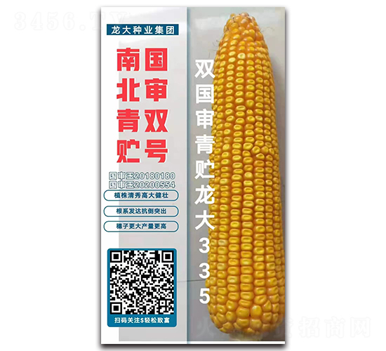 �p�������A����335-���׷N��-����N�I(y��)