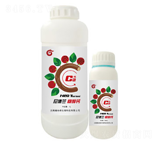 �Ǵ��}-����m-��ؾG