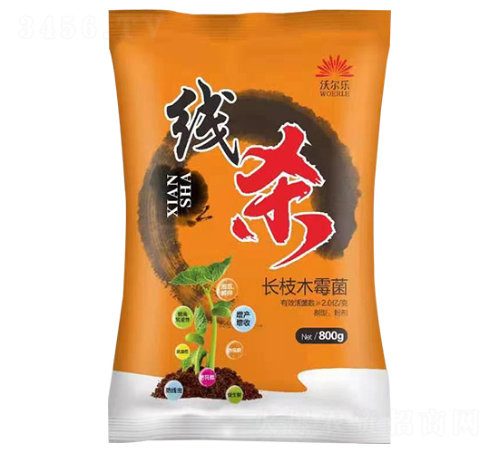 �L֦ľù��-����-�֠���