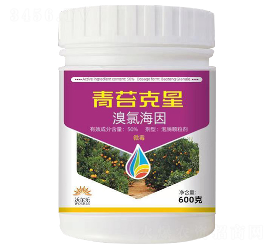 ��̦����-�֠���